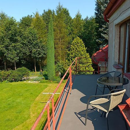 Apartman Za Lesem Červený Kostelec Extérieur photo