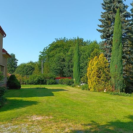 Apartman Za Lesem Červený Kostelec Extérieur photo