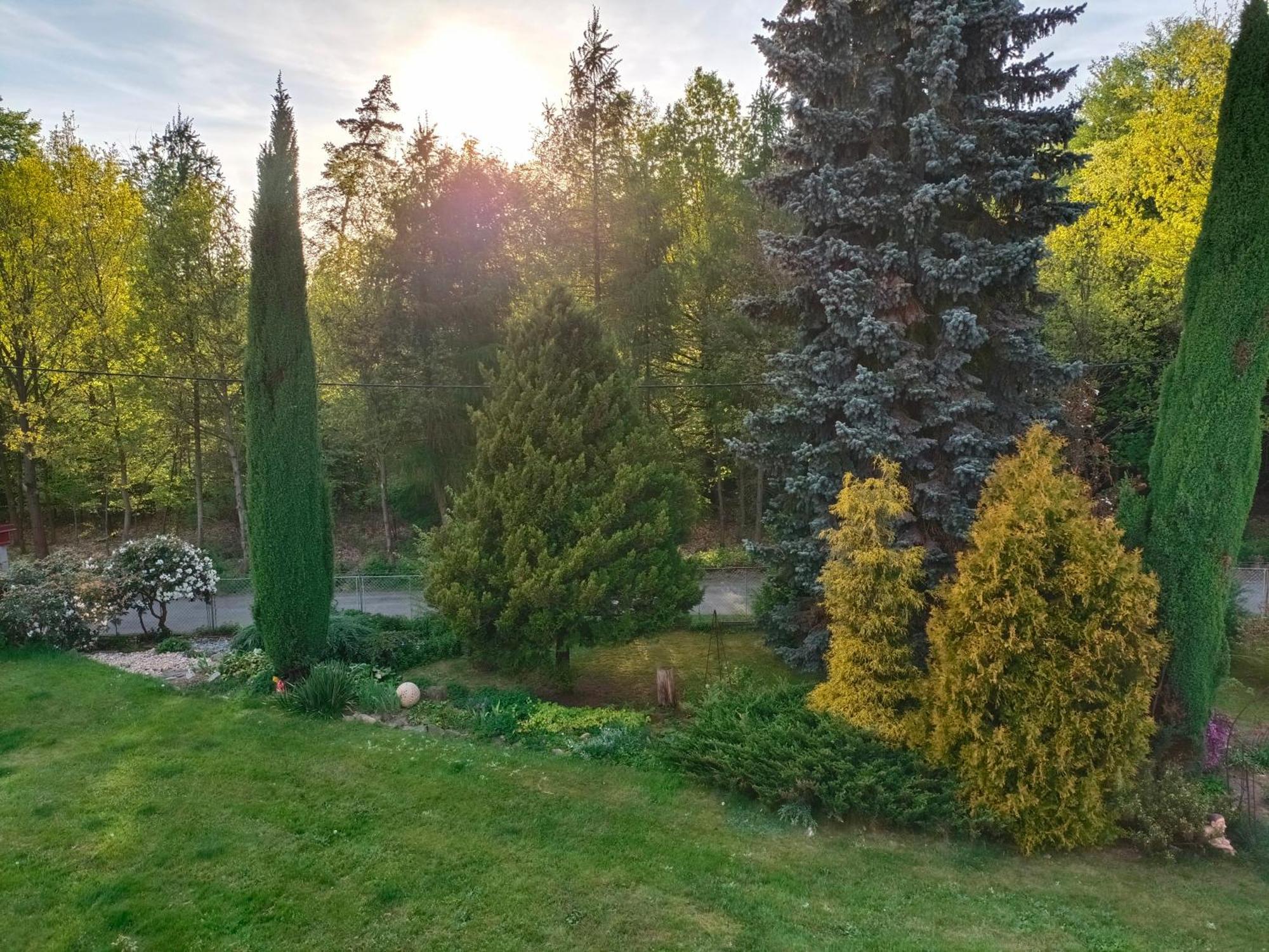 Apartman Za Lesem Červený Kostelec Extérieur photo